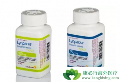 �ѳ���ʷ��ǰ���Ŀ�����Чҩ��������ķ��ư�ɹ�����