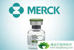 PD-1���Ƽ�Kҩ��Oҩ�ֱ����������Щ��֢���ߣ�