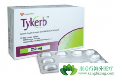 ̩��ɳ/����������HER2�������ٰ���Ч�İ�������ҩ