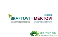 Braftovi����Mektovi��Ӣ���������ƶ��Ժ�ɫ��������