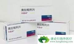 �԰�������Ϊ������PARP���Ƽ���Ŀǰ�ѳ������Ƶ���ѡ����ҩ��