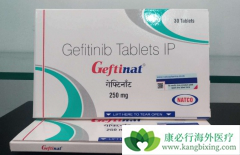 ����EGFR�������ķ��۰��ͷ��ݰ�����ʹ������ɳ������