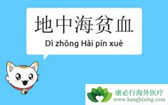 ���к�ƶѪ��ȱ����ƶѪ����Щ����