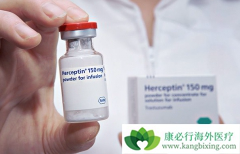 ���ٰ���ҩ�����鵥��/����͡����ҩT-DM1����ĸ�Ч���ã�