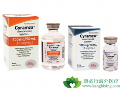 ����¡����ҩ����Ī«������Ramucirumab���������Ƹΰ�������