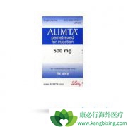 ��������ά�����ƿ������ӳ�NSCLC�޽�չ����ͷ��۰����ߵ�������