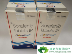 ����������/��̹�������ڼ������ͣҩ������