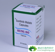 ӡ�ȿ���������������������Ч��¬��˹����