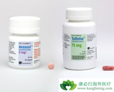 �����������ϴ�����������BARFͻ��ĵ��ܰ����ߵ�Ч����ô����