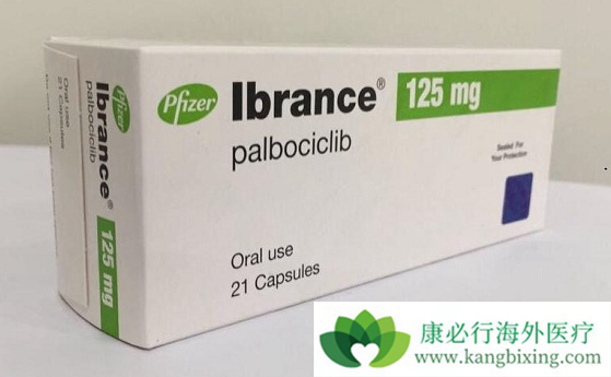 哌柏西利 哌柏西利