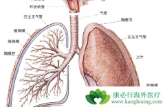 �ط��Է���ά���ķ�ҩ�����Ʒ�������Щ��