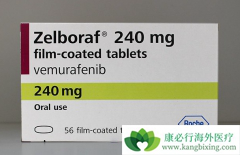 ���޷������µ�PD-1����ҩ������ʹ�ÿɻ�ó�������������