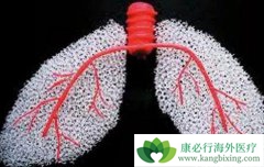 �ط��Է���ά��������ҩ�����������ͪ����ʲô��