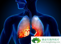 ��Ч���Ʒ��۰��İ���ҩ�ﶼ����Щ��Ч����Σ�