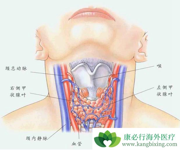 ��״����