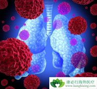 �������Ͷ������������ʲô���ƣ�