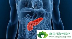 Ŀǰ�ٴ������ٰ����Ƶ���Ҫ��������Щ��