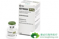 PD-1���Ƽ�Keytruda�����������Ʒ�����θ�����ߵ���Ч
