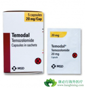 ��Ī��(temozolomide)����������ϸ������