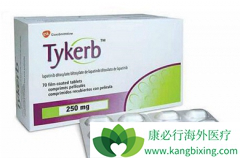 �ڷ��ѳ�������ҩ��������(lapatinib)��Եİе���ʲô��