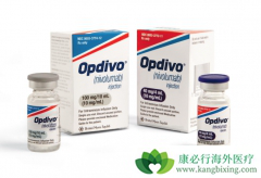 ���ڰ��װ�����ʹ����Щ��������ҩ��������ƣ�