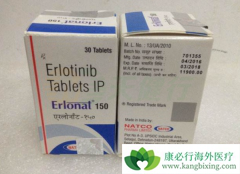 ���޿�����PD-1���Ƽ����䵥������NSCLC������������