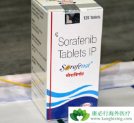 �༪��/�������������һ������TACE���Ƶ��������Ʒ�