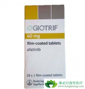 ����ΰ��������ð�������(Afanix)��ʹ�ö�������