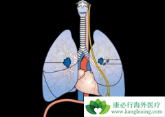 ��������/�����������ȫ���������û����Բ�������Ч