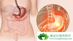 θ���ܻ��ã�����θ������Щ��������ҩ�