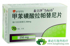 ��������(Lapatinib)��ҩ��������ҩ�������ٰ���Ч����Σ�