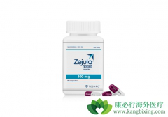 ��һ��PARP���Ƽ�����������zejula�������ѳ������ߵ�Ч����ô����