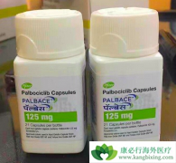 �����ٰ�CDK4/6��ø���Ƽ�������������Щ�������ƣ�