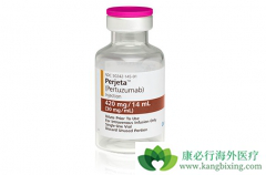 HER2�������ٰ�����������������ĸ�Ч���ȽϺã�