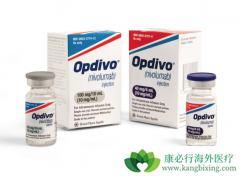 PD-1/PD-L1���Ƽ����˰�֢�����������Щ������