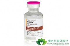 �����鵥��������ʹHER2�����������ٰ�˫�������Ƴ�Ϊ����