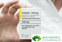 T-DM1δ���й�����ǰ���ٰ����ߵĸ�����ҩ��Ȼ�Ƽ�ʹ�������鵥��