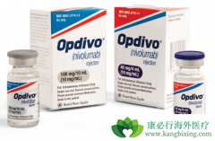 ��Է������䵥��(opdivo)���ֵĸ��ָ����������������������