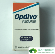 ��Բ�ͬ��Ӧ֢���䵥��Ӧ����θ�ҩ��