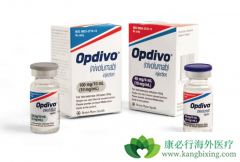 Opdivo��Eliquis��Ŀǰʩ�󱦹�˾����Ҫ������Դ