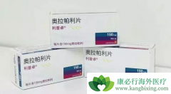 PARP���Ƽ����������������������������������ٰ���