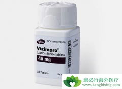 ������ᣨVizimpro�������Ʒ�Сϸ���ΰ�����һ��EGFR���Ƽ�