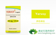 ��ƥľ����(Yervoy)���ƺ�ɫ��������ҩ��������������