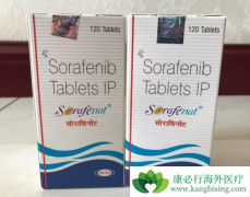 ӡ�ȶ༪��/�������ᵽ���м��ְ�װ���