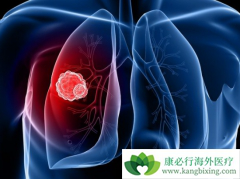 ��������������ڷΰ��Ķ������Ʒǳ���Ǳ��