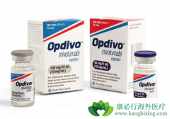 PD-1���Ƽ�ŷ���֣�Opdivo������������ҩ����