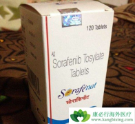 ӡ�ȶ༪������ڵ�������������Ч�ϵĲ������