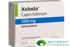 ��������/ϣ�޴�������ҩ�������ҹ�����θ���ı�׼��ҩ����