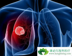 �β�С����Ƿΰ�ǰ���𣿷ΰ����κ���