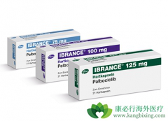 ��׼����������(Palbociclib)�������ƿ��ܲ�����Щ������Ӧ